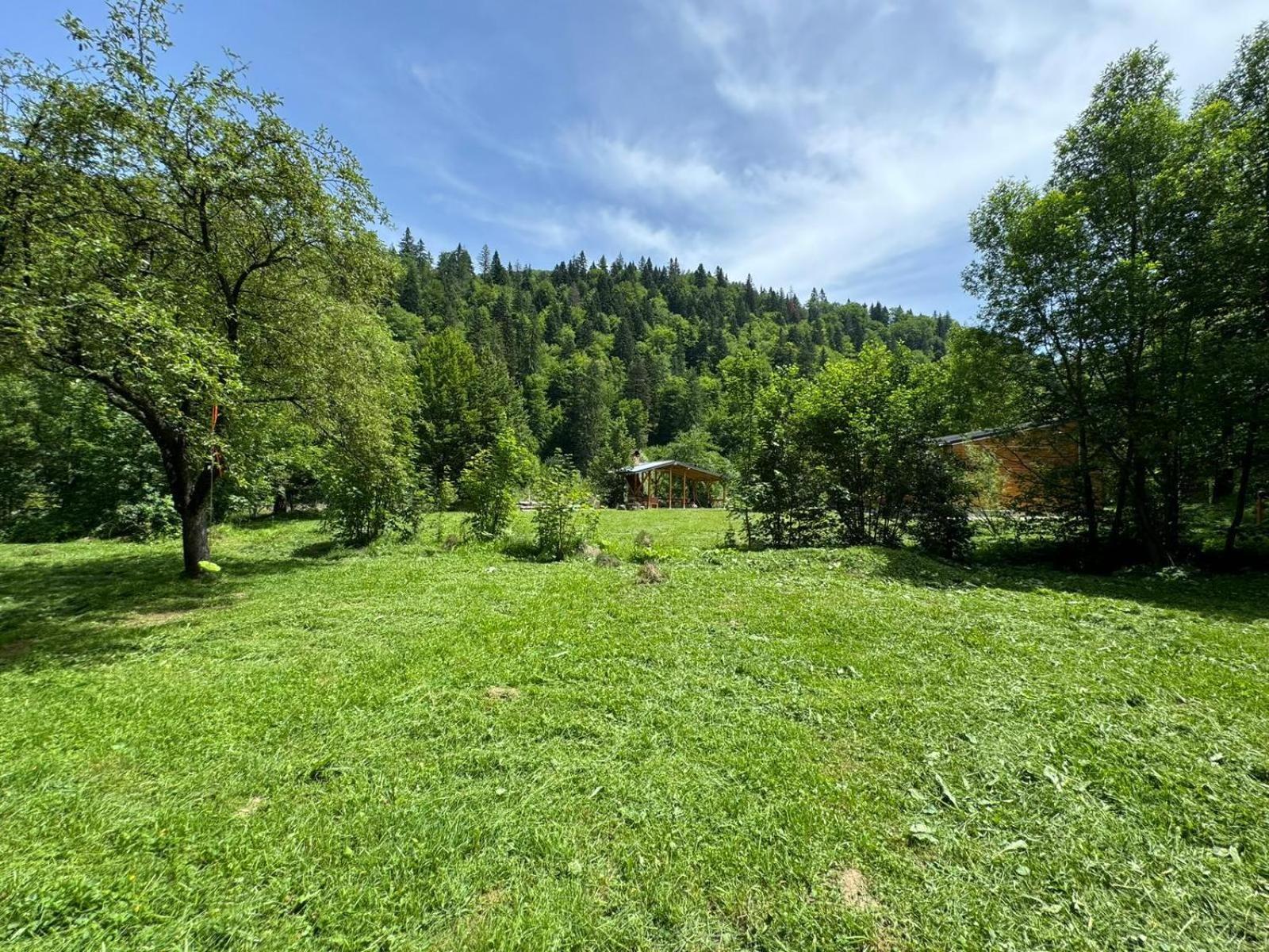 Tarcau Kub Villa Cazaci Exterior photo